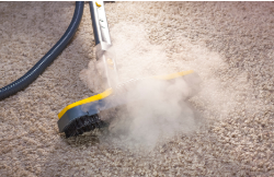 Steaming brown carpet Carpet and Rug Cleaning Long island NY